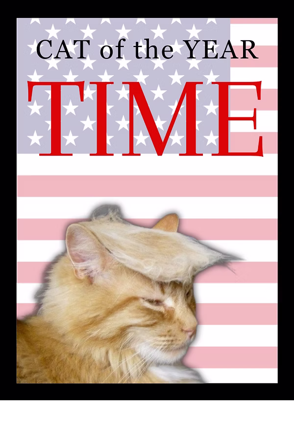 CAT of the YEAR TIME (720 x 1080 px)(2).png